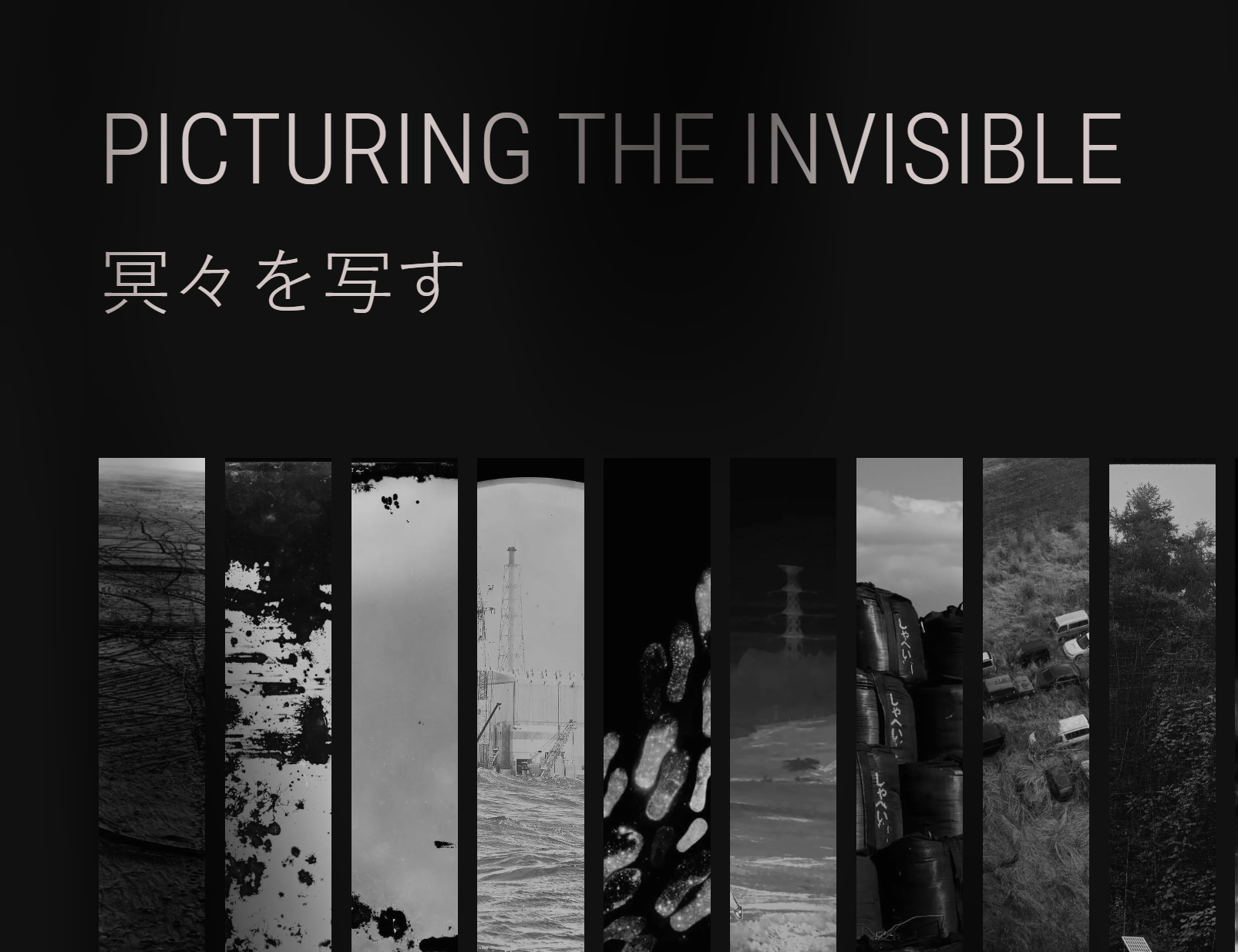 picturing the invisible web screenshot